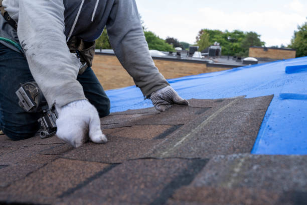 Quick and Trustworthy Emergency Roof Repair Services in Pleasant Grove, AL